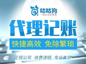 一般納稅人與小規模公司代理記賬服務全面解析——咕咕狗一站式代辦